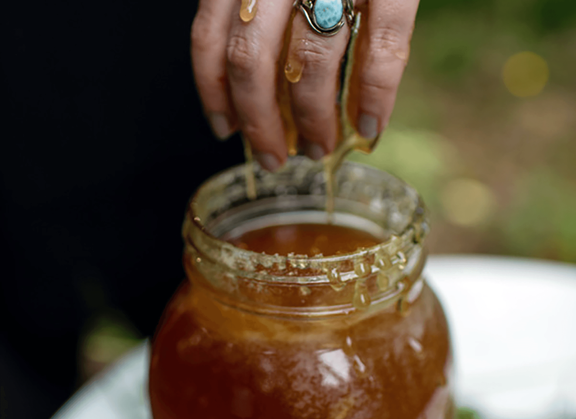 Ethically Wildcrafted Raw Infused Honey — Why It Matters - Honeyopathy
