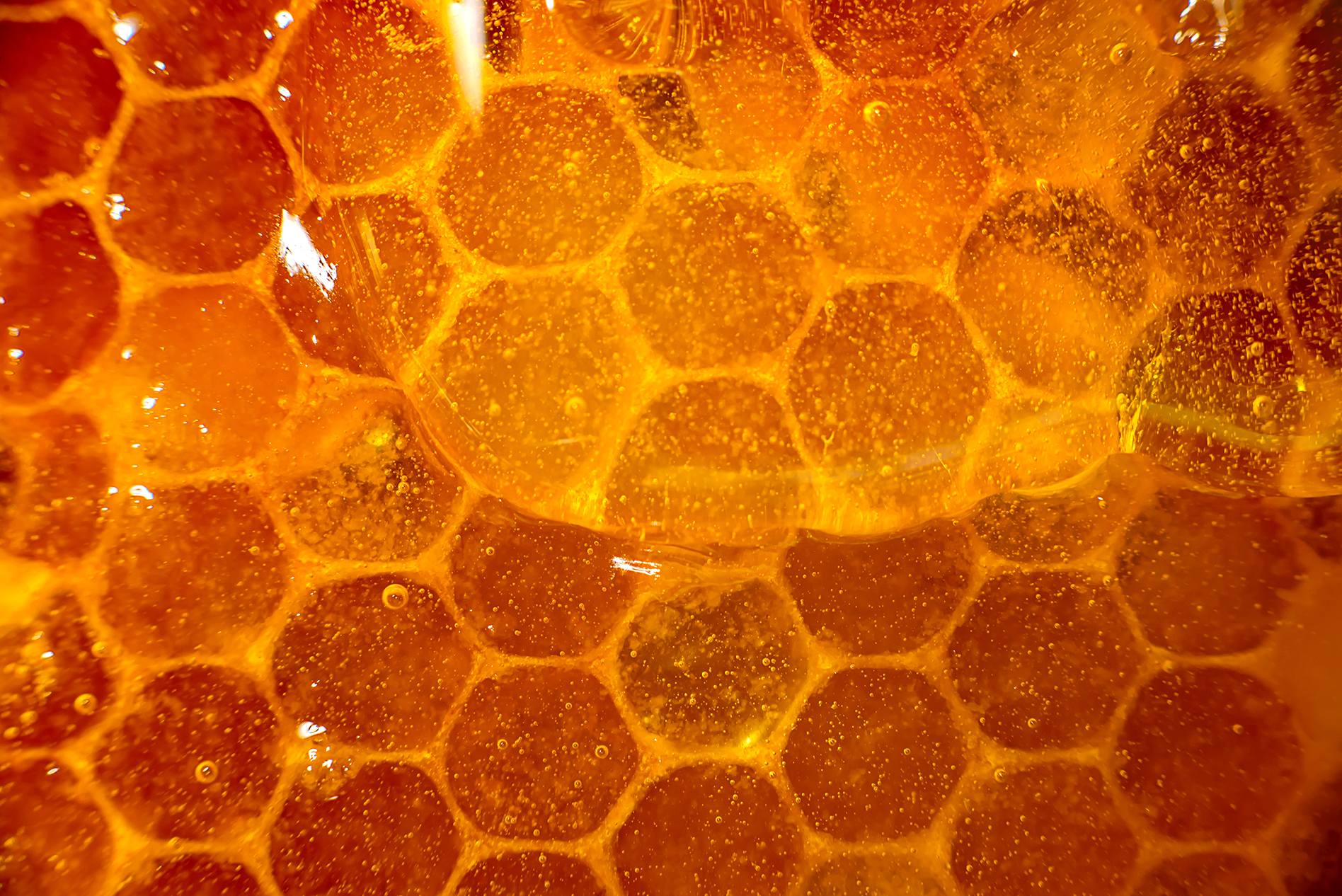 The amplifying spiritual power of raw honey