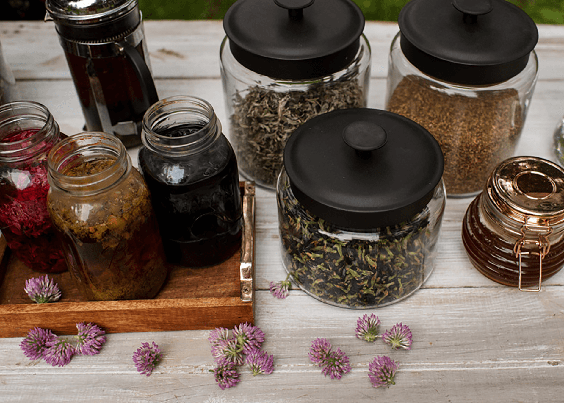 What is homeopathy and why is it a better alternative to Western medicine? - Honeyopathy
